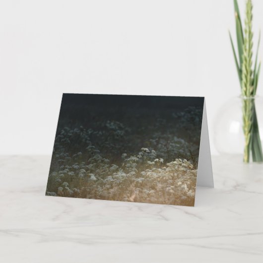 Moody meadow kaart (Voorkant)