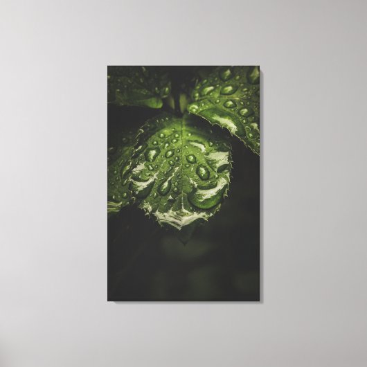 Moody Morning Dew-canvas printkunst Canvas Afdruk (Voorkant)