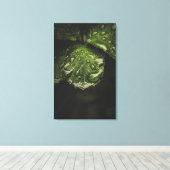 Moody Morning Dew-canvas printkunst Canvas Afdruk (Insitu (Houten vloer))