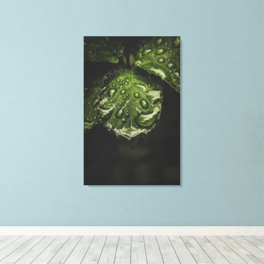 Moody Morning Dew-canvas printkunst Canvas Afdruk (Insitu (Houten vloer))