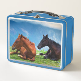 Moody Mountain Horses: Een fijne kunst reis 