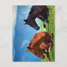 Moody Mountain Horses: Een fijne kunst reis  Briefkaart