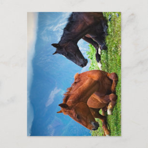 Moody Mountain Horses: Een fijne kunst reis Briefkaart