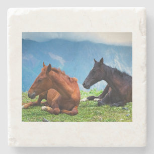 Moody Mountain Paarden: Een Fijne Kunst Reis Stenen Onderzetter