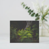 Moody nature with forest ferns briefkaart (Staand voorkant)