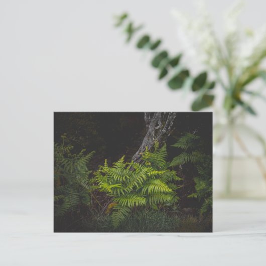 Moody nature with forest ferns briefkaart (Staand voorkant)