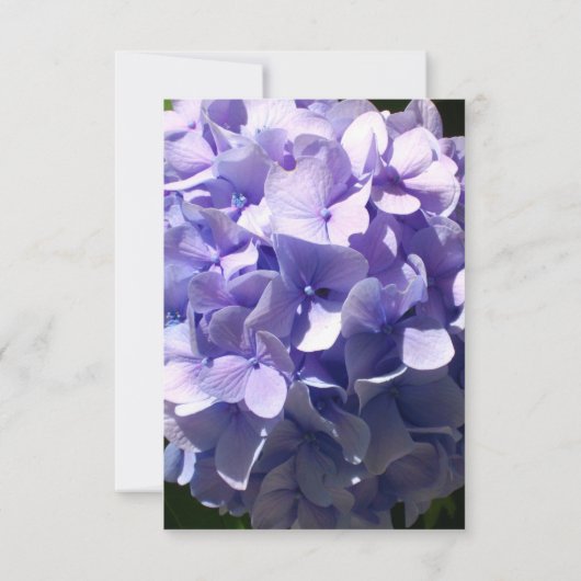 Moody Paarse hortensia paarse bloem paarse bloemen RSVP Kaartje (Achterkant)