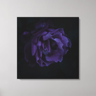 Moody Paarse Roos Canvas Afdruk