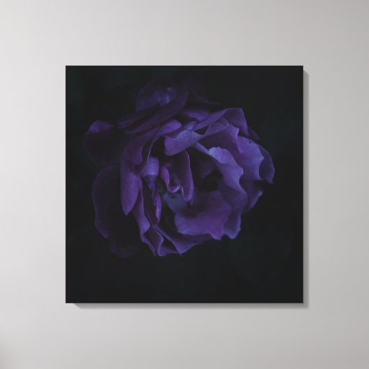 Moody Paarse Roos Canvas Afdruk (Voorkant)