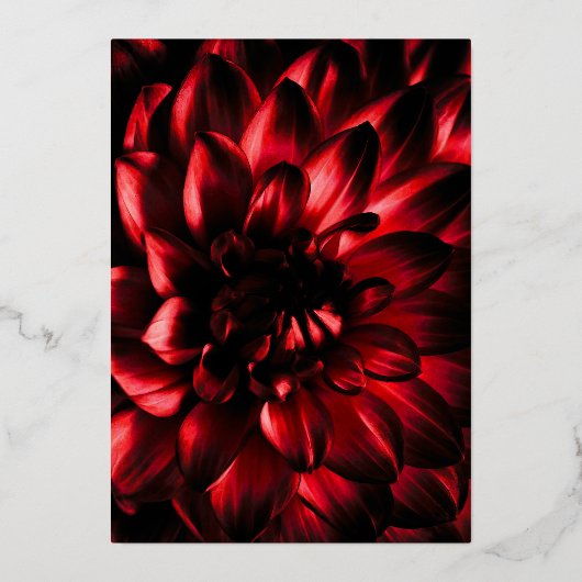 Moody Red Dahlia Floral Gold Text Wedding Folie Uitnodiging (Achterkant)