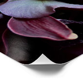 Moody Red Floral Poster Art (Hoek)