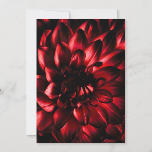 Moody Red Floral Wedding Kaart (Achterkant)