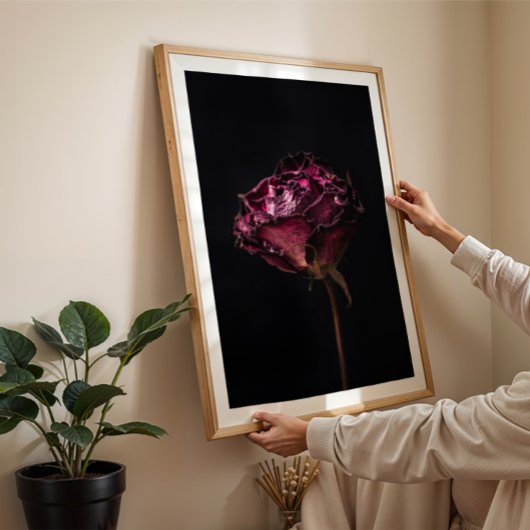 Moody rode roos stilleven muur kunst poster