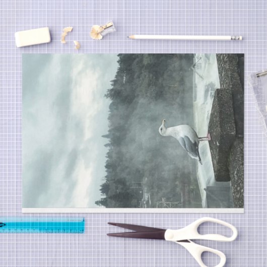 Moody Seagull-ontkoppelpapier Tissuepapier (Craft)