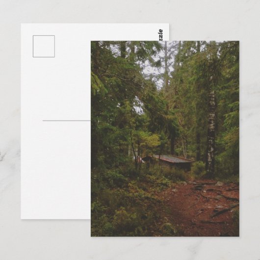 Moody Swedish Forest Briefkaart (Voorkant / Achterkant)