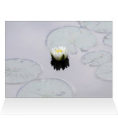 Moody Water Lily (Binnen Horizontaal (Boven))