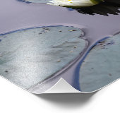 Moody Water Lily Foto Afdruk (Hoek)