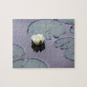 Moody Water Lily Legpuzzel