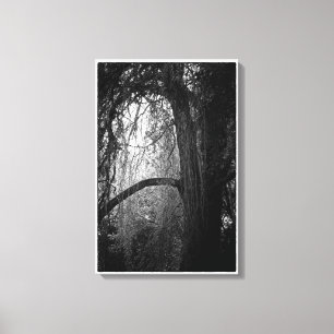 Moody Willow Tree Black en White Landscape Foto Canvas Afdruk