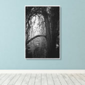 Moody Willow Tree Zwart-wit Landschapsfoto Canvas Afdruk (Insitu (Houten vloer))