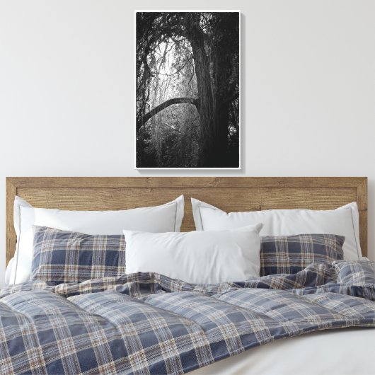Moody Willow Tree Zwart-wit Landschapsfoto Canvas Afdruk (Insitu (Slaapkamer))