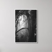Moody Willow Tree Zwart-wit Landschapsfoto Canvas Afdruk (Voorkant)