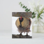 Moody Winter Rooster Briefkaart (Staand voorkant)
