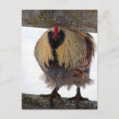 Moody Winter Rooster Briefkaart (Voorkant)