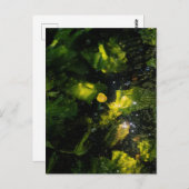 Moody Yellow Water Lily in sparkling light Briefkaart (Voorkant / Achterkant)