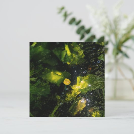 Moody Yellow Water Lily in sparkling light Feestdagenkaart (Staand voorkant)