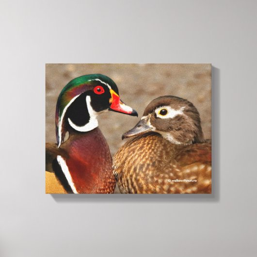 Mooi aanraakmoment tussen houten eenden canvas afdruk (Voorkant)