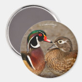 Mooi aanraakmoment tussen houten eenden magneet (Voorkant / Achterkant)