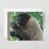 Mooi Afbeelding van de bruine pooly-aap Briefkaart (Voorkant / Achterkant)