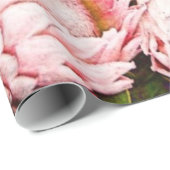 Mooi Afrikaanse Protheepatroon Cadeaupapier (Rol Hoek)