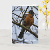 Mooi Amerikaans Wenskaart Robin Birthday Kaart (Gele Bloem)