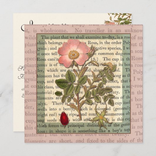 Mooi Antiek Roos Tuin Party  Kaart (Voorkant / Achterkant)