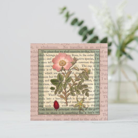 Mooi Antiek Roos Tuin Party  Kaart (Staand voorkant)