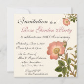 Mooi Antiek Roos Tuin Party  Kaart (Achterkant)