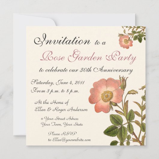 Mooi Antiek Roos Tuin Party  Kaart (Achterkant)