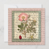 Mooi Antiek Roos Tuin Party  Kaart (Voorkant)