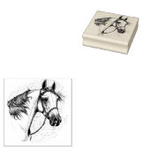 MOOI ARABISCH PAARD, PORTRET VAN HET PAARDENHOOFD RUBBERSTEMPEL (Gestempeld)