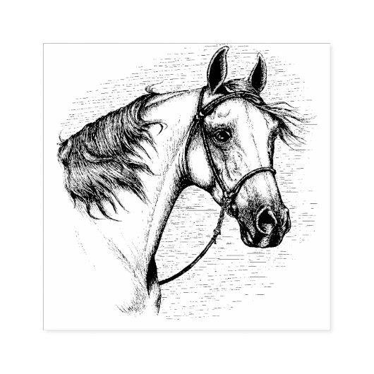MOOI ARABISCH PAARD, PORTRET VAN HET PAARDENHOOFD RUBBERSTEMPEL