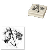 MOOI ARABISCH PAARD, PORTRET VAN HET PAARDENHOOFD RUBBERSTEMPEL (Gestempeld)