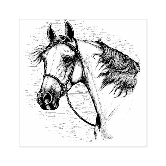 MOOI ARABISCH PAARD, PORTRET VAN HET PAARDENHOOFD RUBBERSTEMPEL (Afrduk)