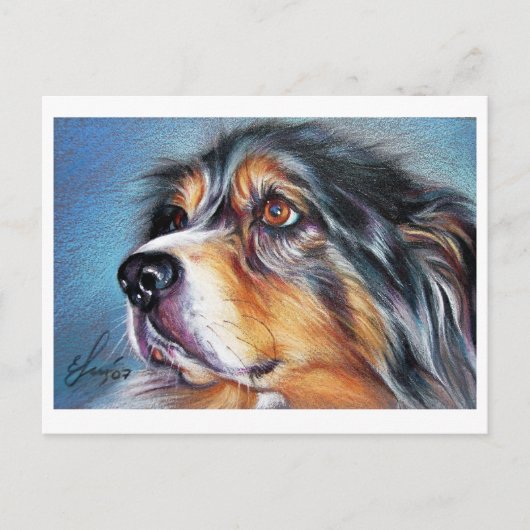 Mooi Aussie Briefkaart (Voorkant)