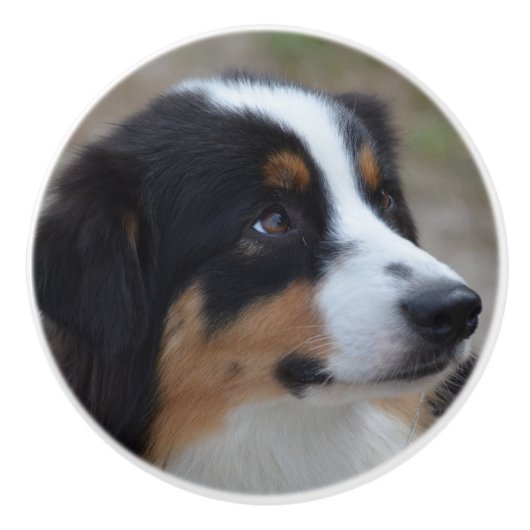 Mooi Aussie Keramische Knop (Voorkant)