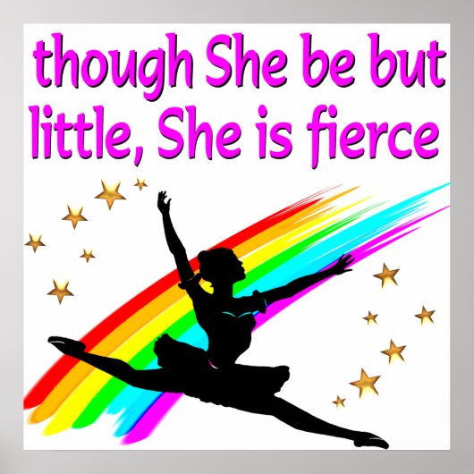 MOOI BALLERINA DANSERSONTWERP POSTER (Voorkant)