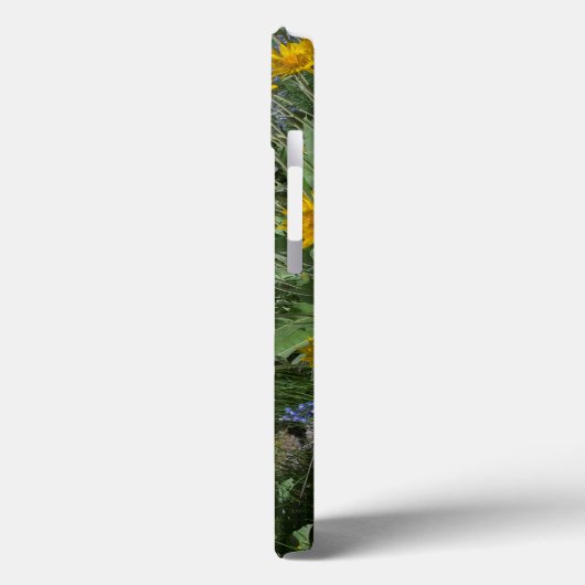 Mooi Balsamroot Bloom Case-Mate iPhone Case (Achterkant / Links)