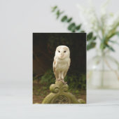 Mooi Barn Owl Briefkaart (Staand voorkant)