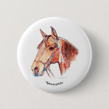 Mooi Bay Paard met Rosette